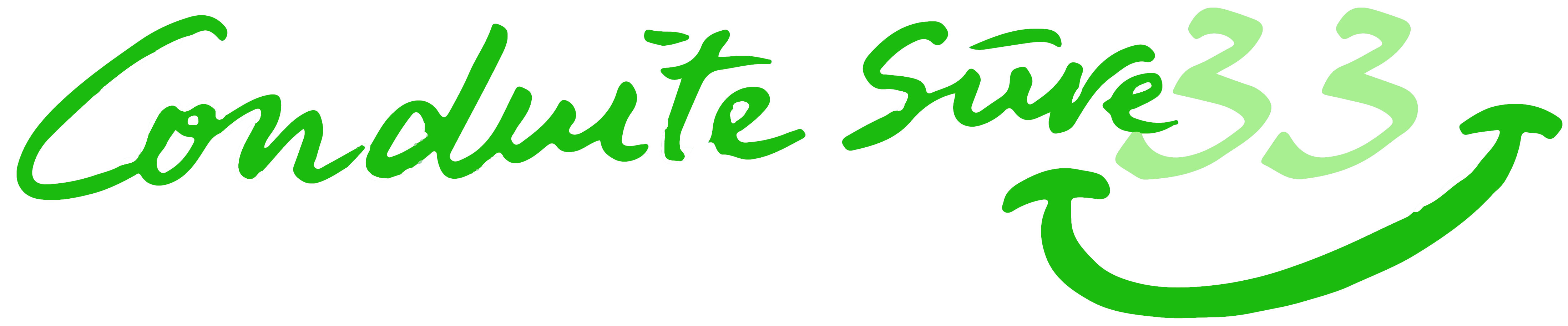 logo de l'auto école conduite sure 33